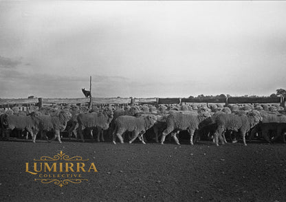 Merino, Victoria, Australia