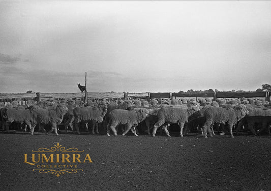 Merino, Victoria, Australia