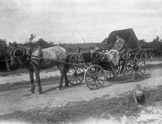 Horse and carriage Victoria, Australia